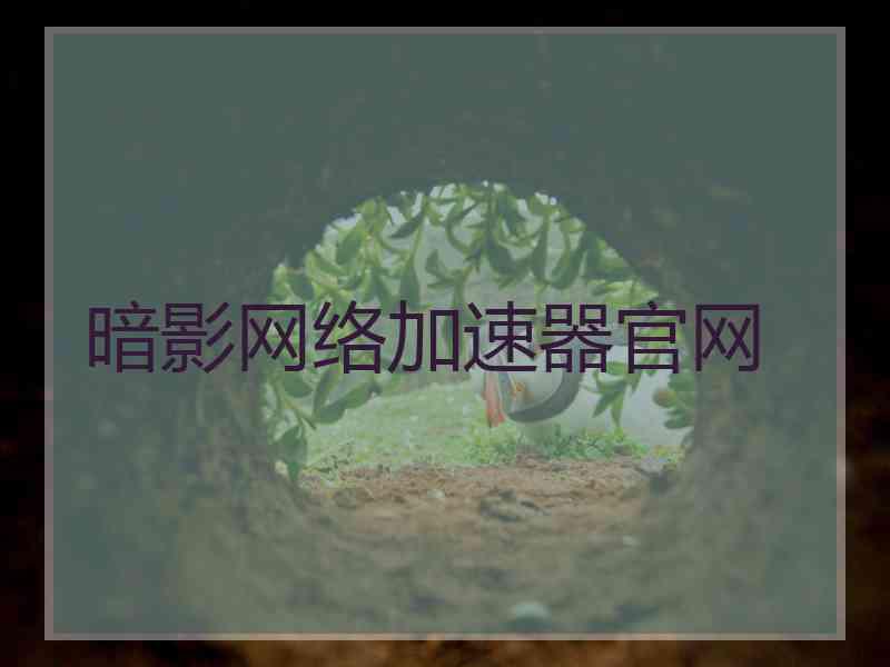暗影网络加速器官网