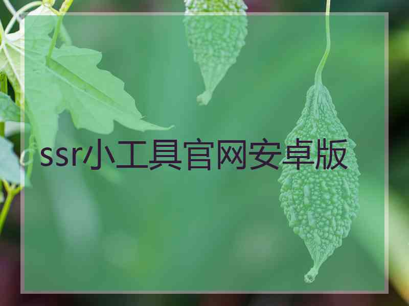ssr小工具官网安卓版