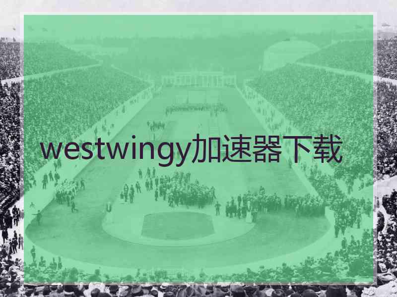 westwingy加速器下载