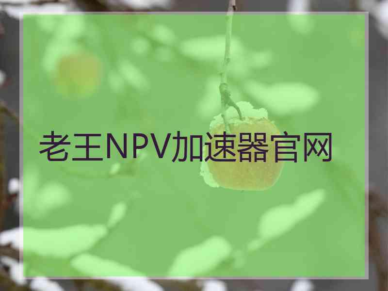 老王NPV加速器官网