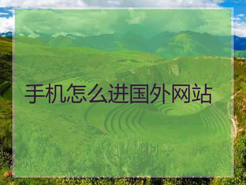 手机怎么进国外网站