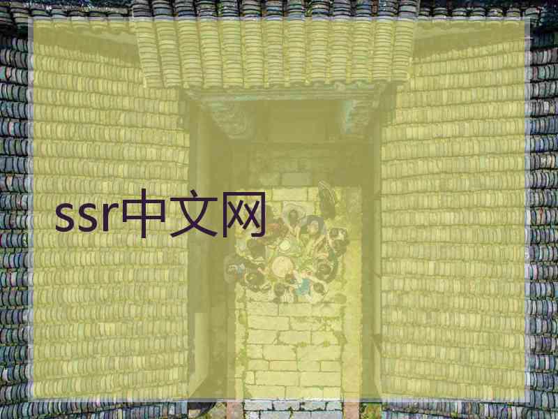 ssr中文网
