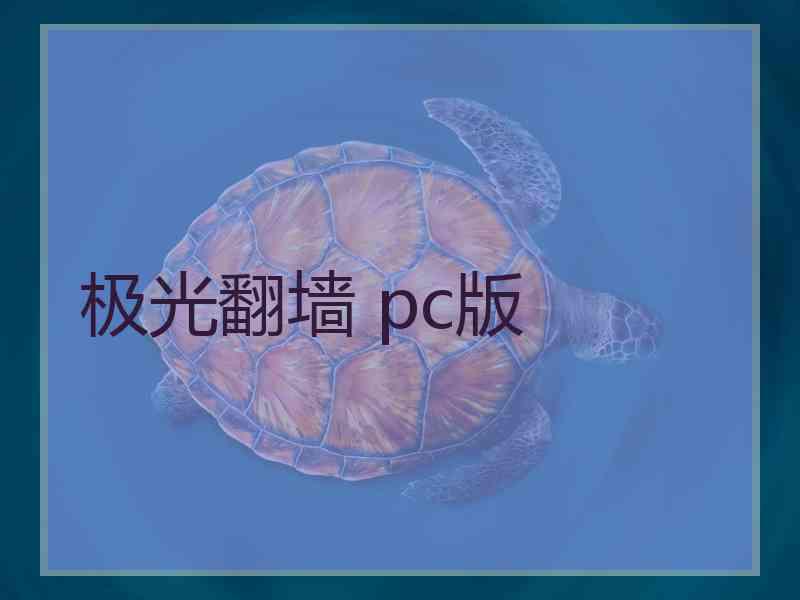 极光翻墙 pc版