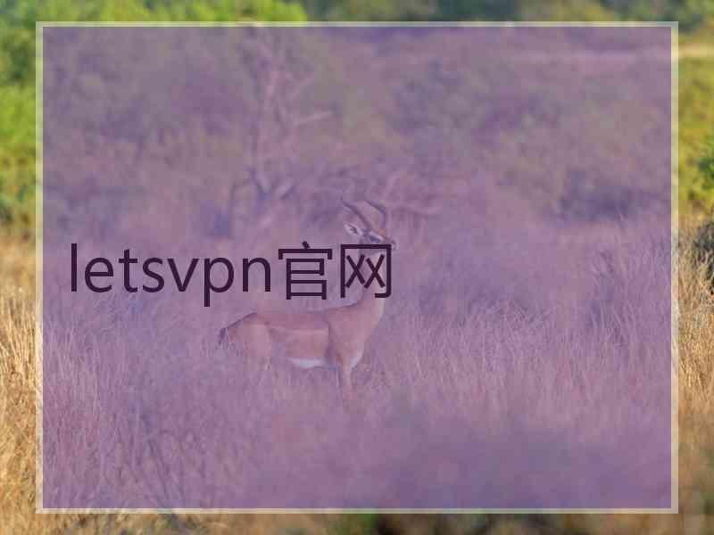 letsvpn官网