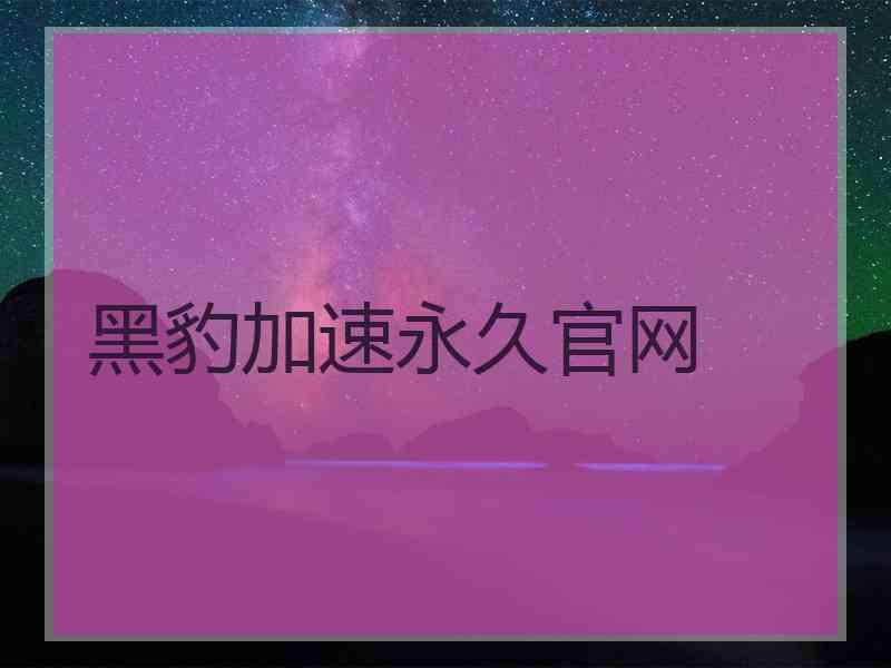 黑豹加速永久官网