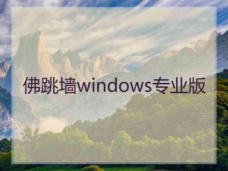 佛跳墙windows专业版
