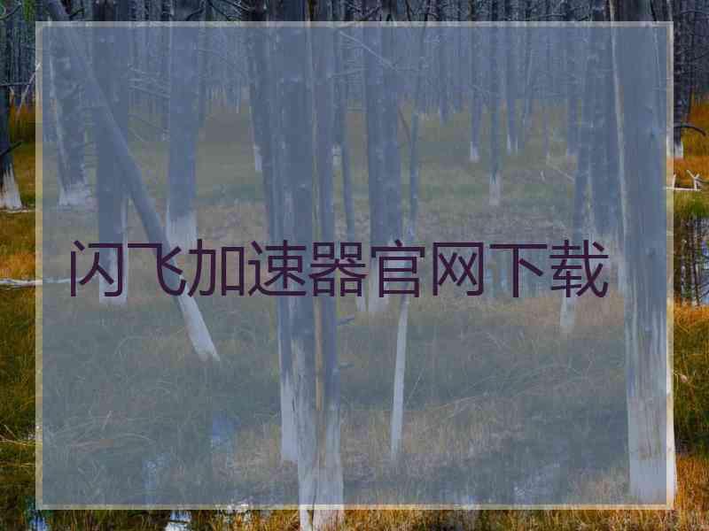 闪飞加速器官网下载
