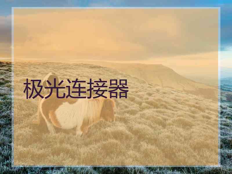极光连接器