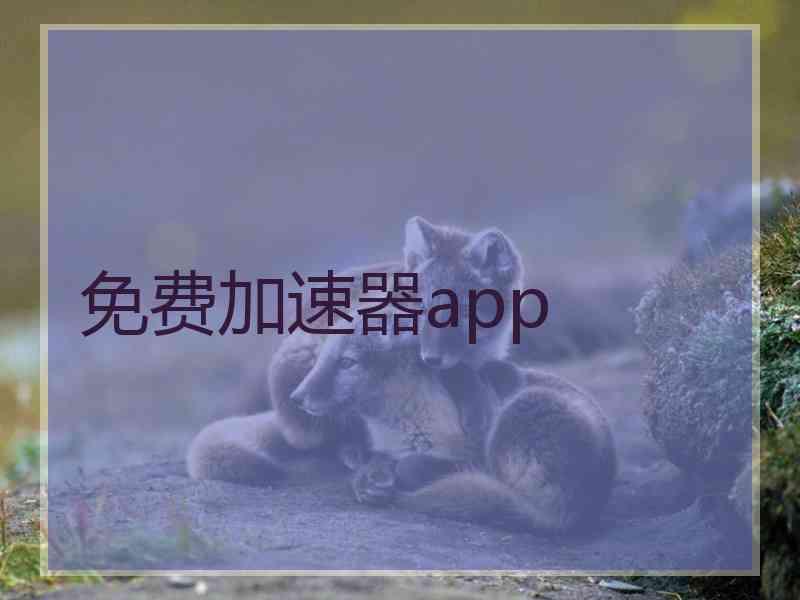 免费加速器app