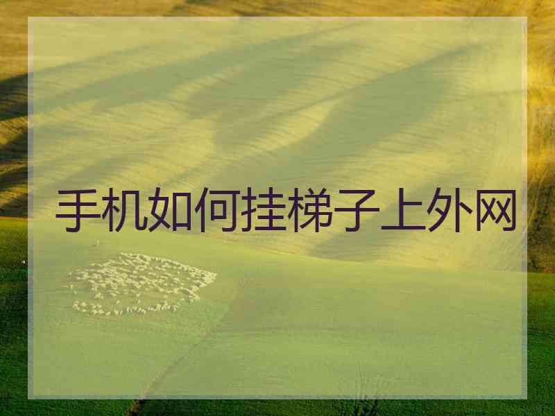 手机如何挂梯子上外网