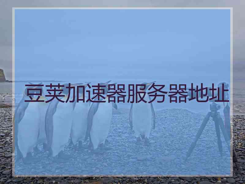 豆荚加速器服务器地址