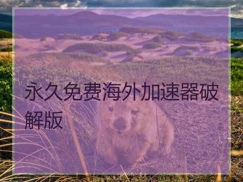 永久免费海外加速器破解版