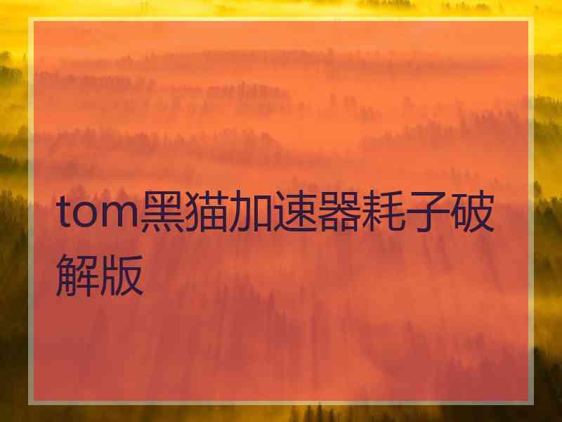 tom黑猫加速器耗子破解版