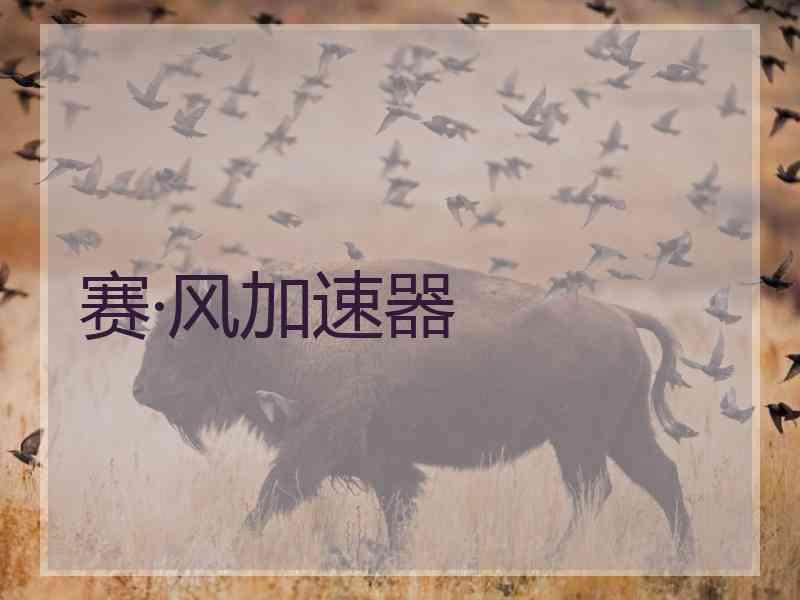 赛·风加速器