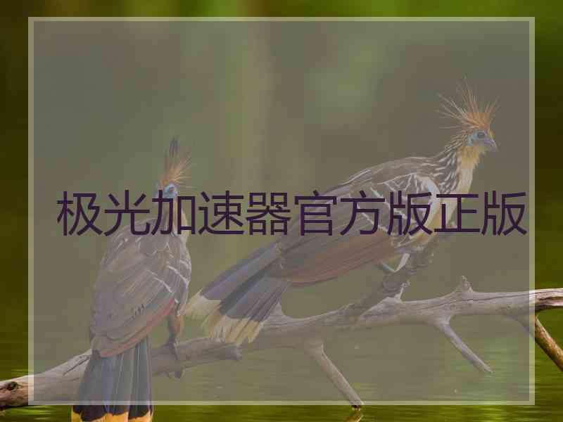 极光加速器官方版正版