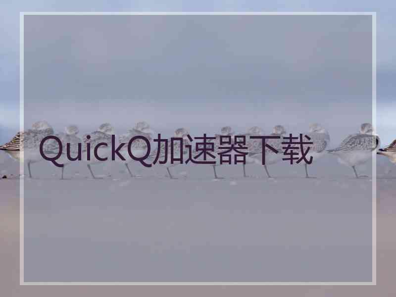 QuickQ加速器下载