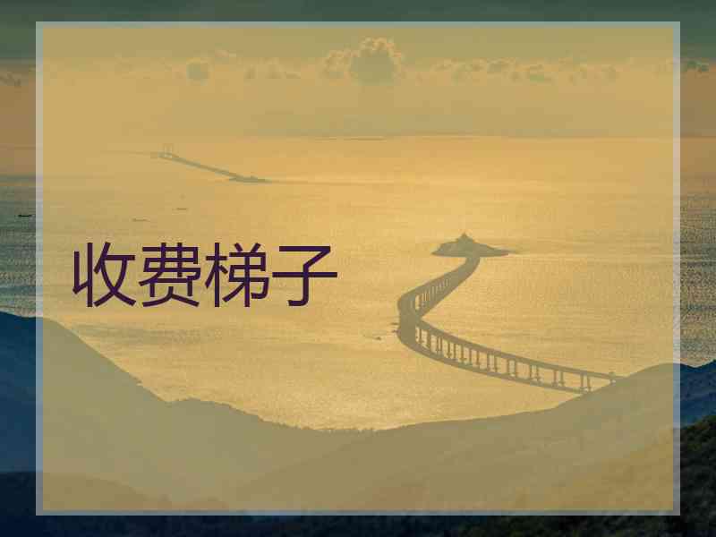 收费梯子
