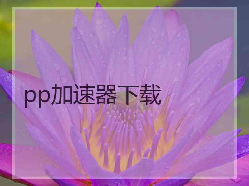 pp加速器下载
