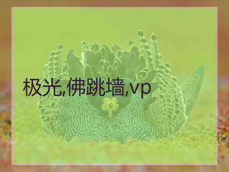 极光,佛跳墙,vp