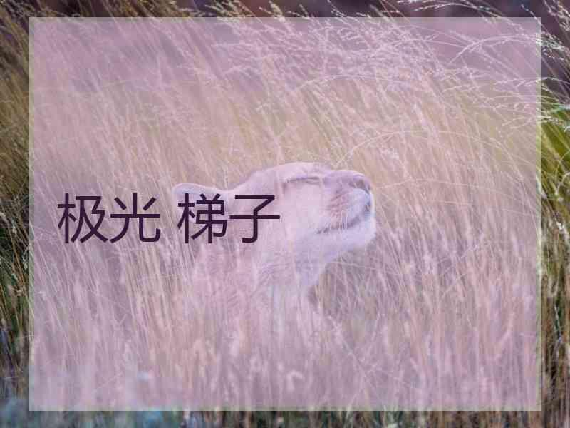 极光 梯子