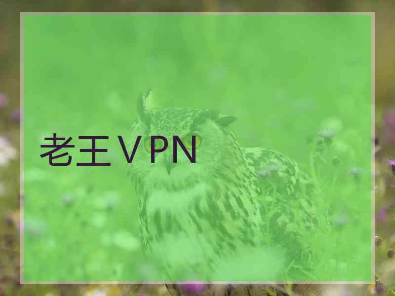 老王ⅤPN