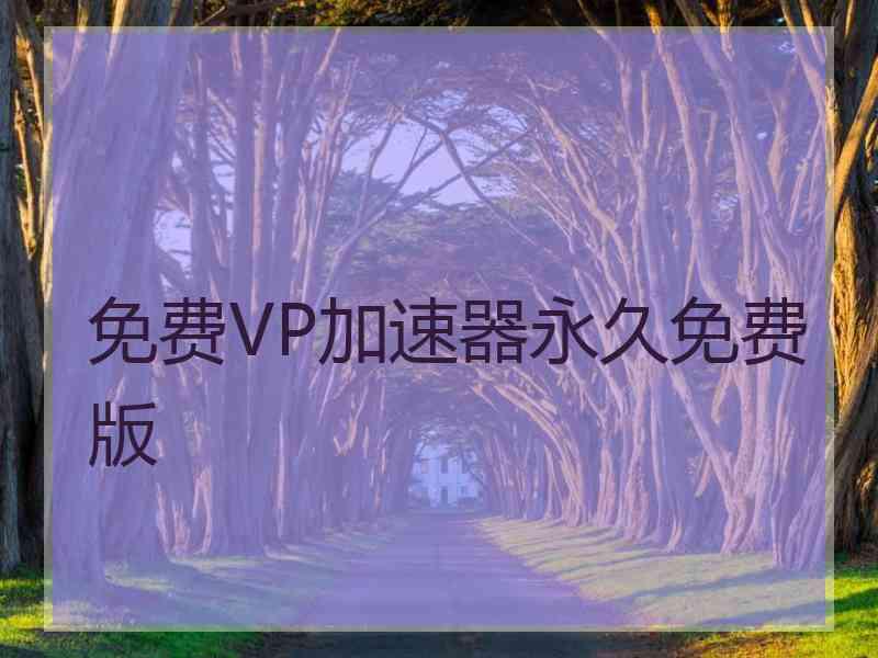 免费VP加速器永久免费版