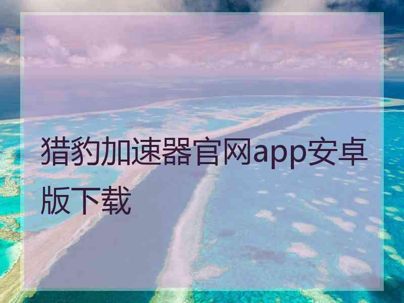 猎豹加速器官网app安卓版下载