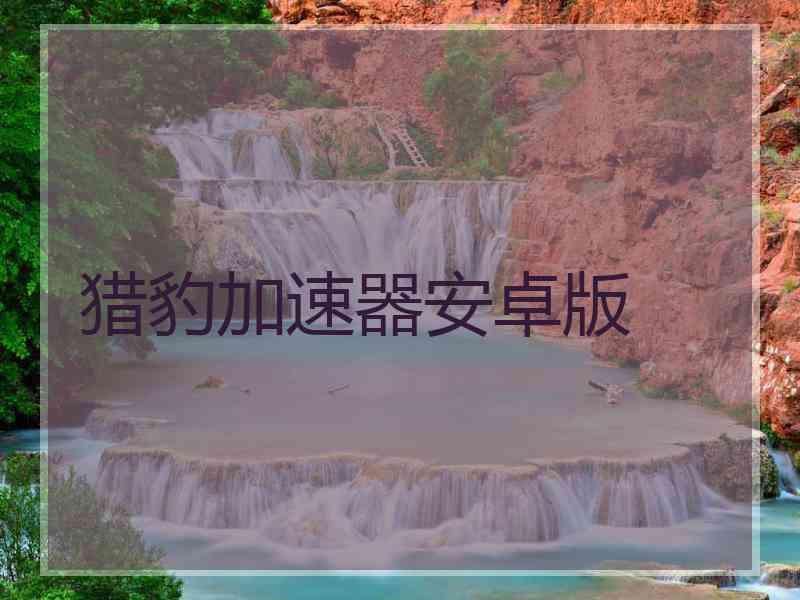 猎豹加速器安卓版