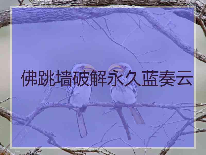 佛跳墙破解永久蓝奏云