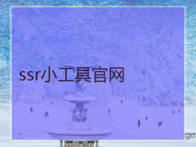 ssr小工具官网