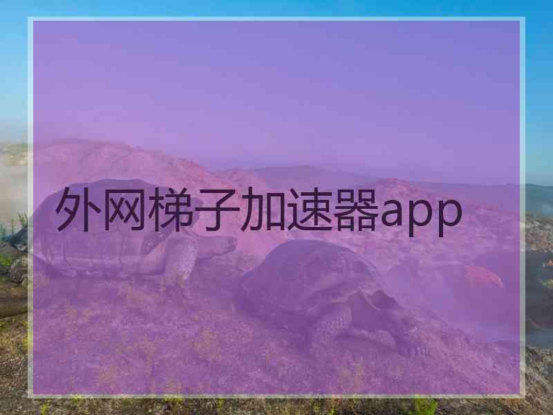 外网梯子加速器app