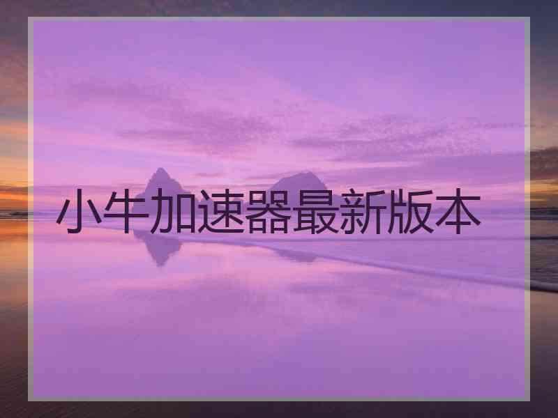 小牛加速器最新版本