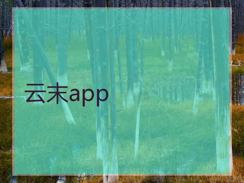 云末app