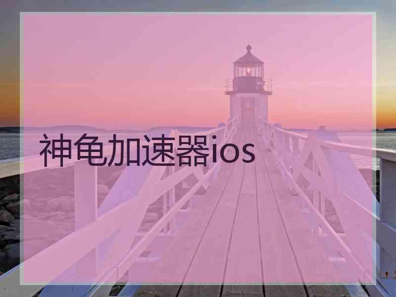 神龟加速器ios