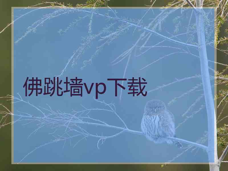 佛跳墙vp下载