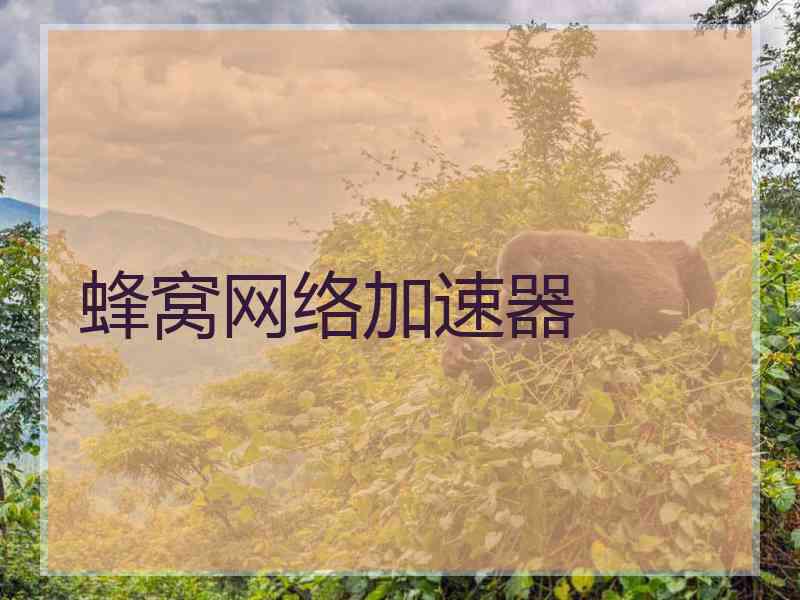 蜂窝网络加速器