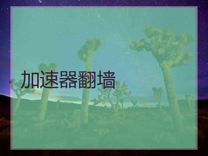 加速器翻墙