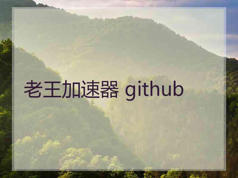 老王加速器 github