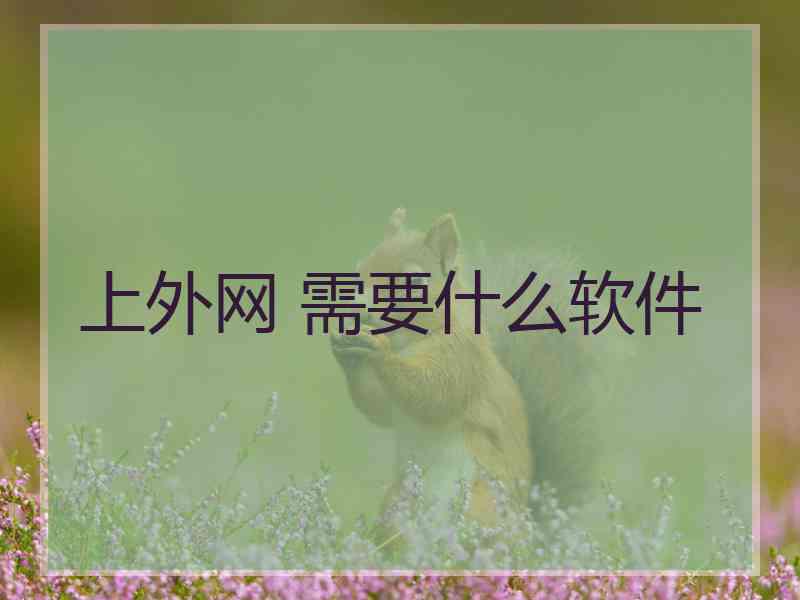 上外网 需要什么软件