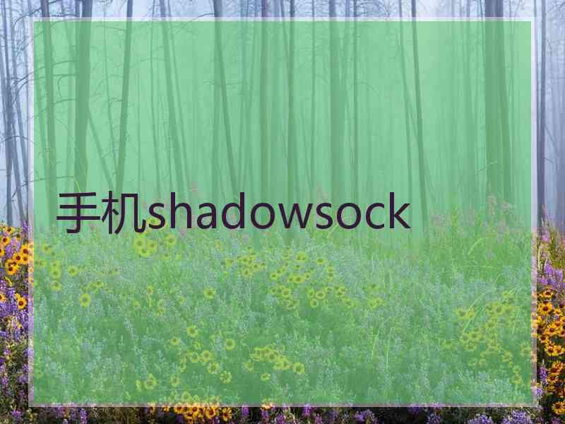 手机shadowsock