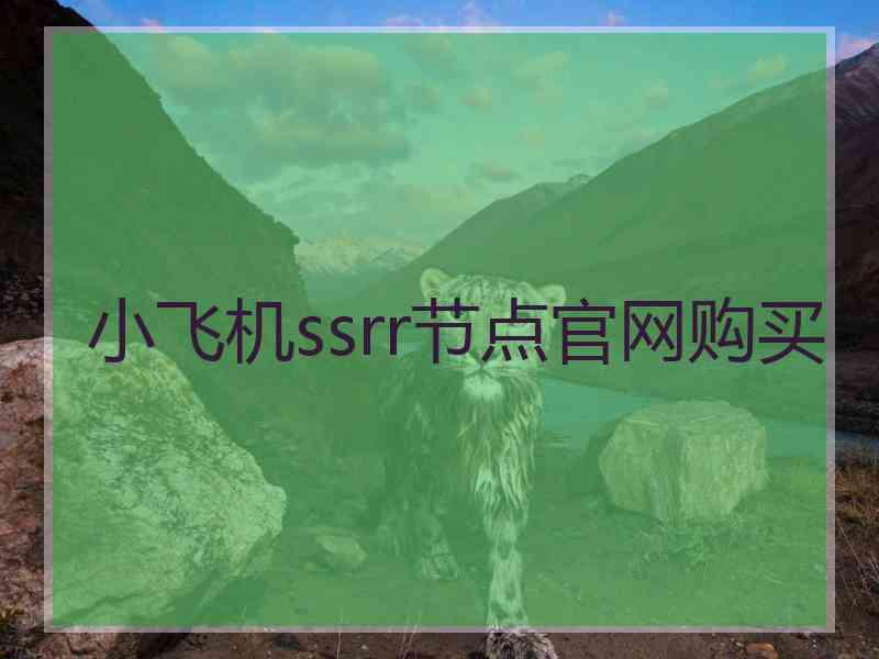 小飞机ssrr节点官网购买