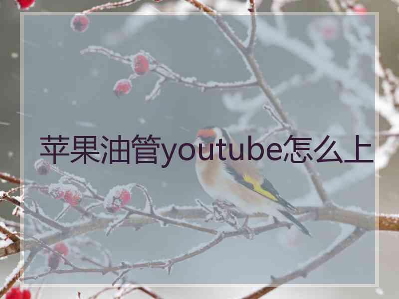 苹果油管youtube怎么上