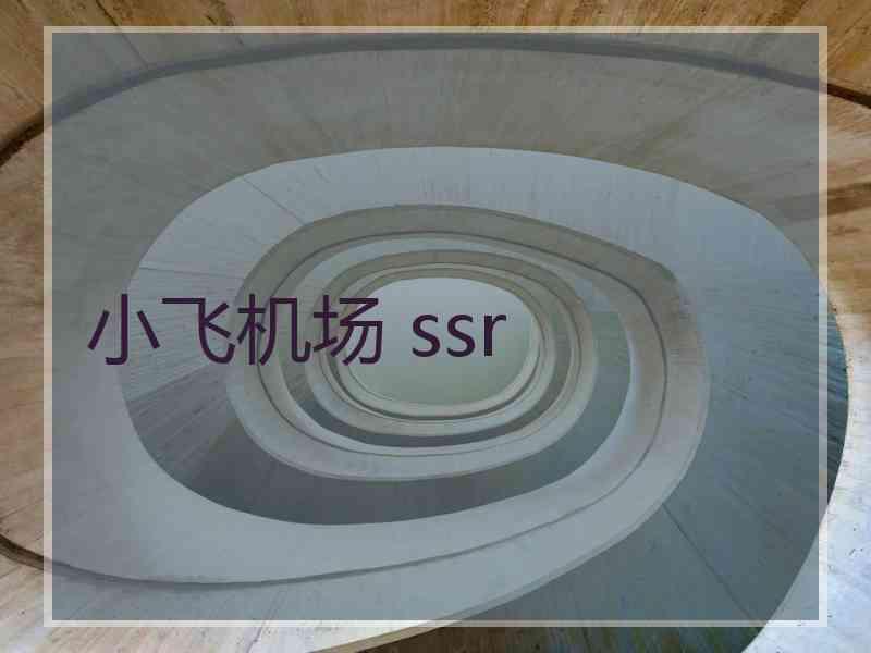 小飞机场 ssr