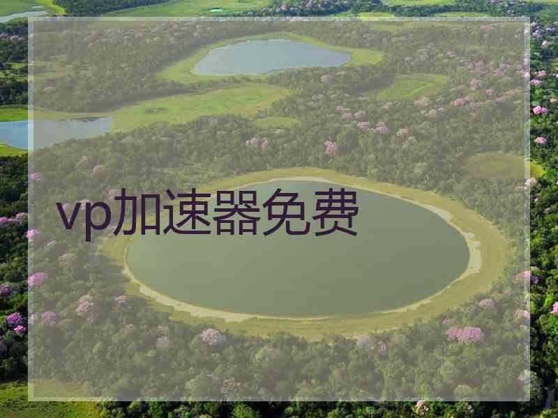 vp加速器免费