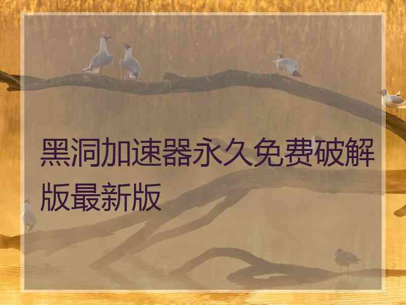 黑洞加速器永久免费破解版最新版