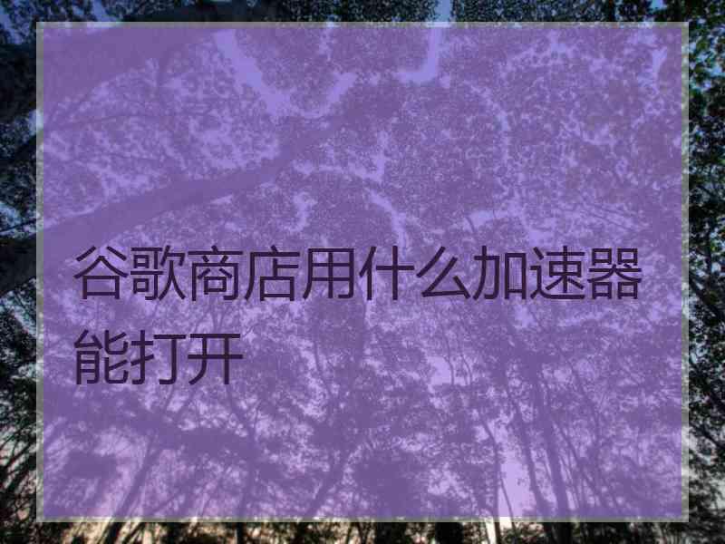 谷歌商店用什么加速器能打开