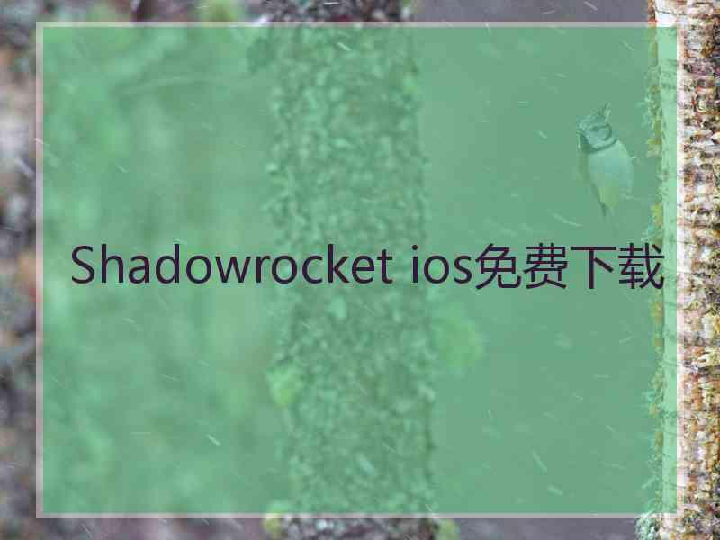 Shadowrocket ios免费下载