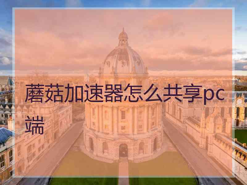 蘑菇加速器怎么共享pc端