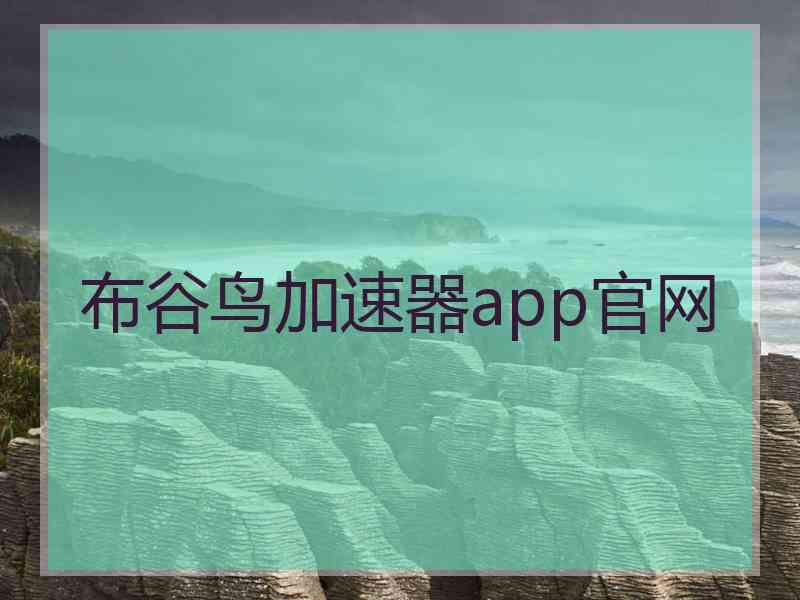 布谷鸟加速器app官网