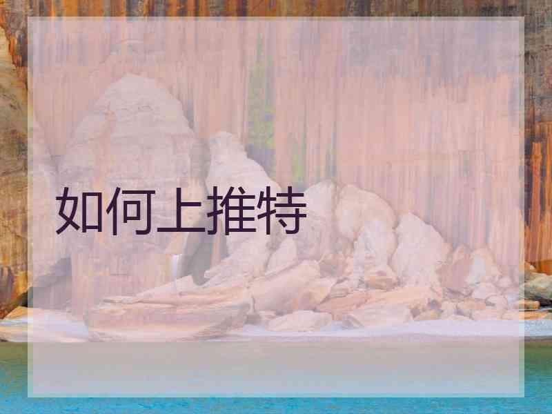 如何上推特